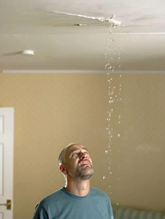 卷材比涂料防水_js涂料防水_js防水涂料价格