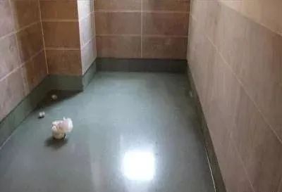 js防水涂料价格_js涂料和js防水涂料_js防水 涂膜防水