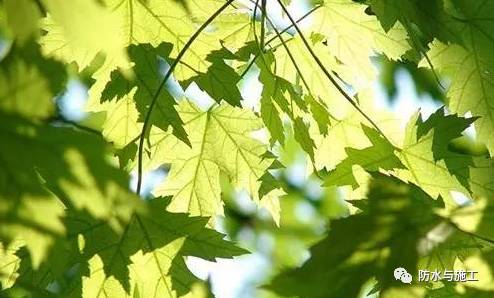 js防水涂料价格_卷材比涂料防水_东方雨虹js防水价格