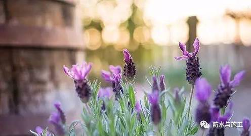 卷材比涂料防水_东方雨虹js防水价格_js防水涂料价格