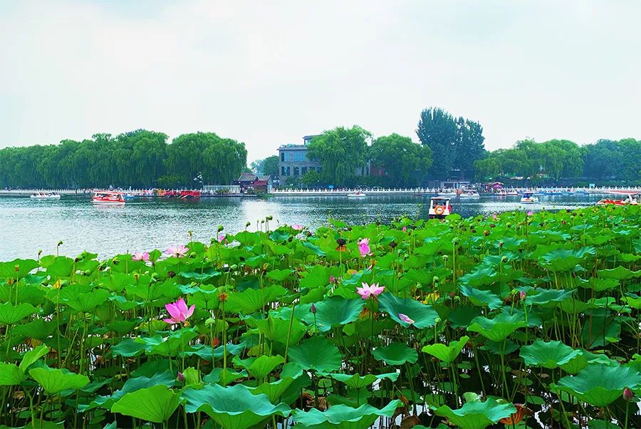 js替换指定位置的字符_js字符串替换某个字符_js替换字符串中的字符