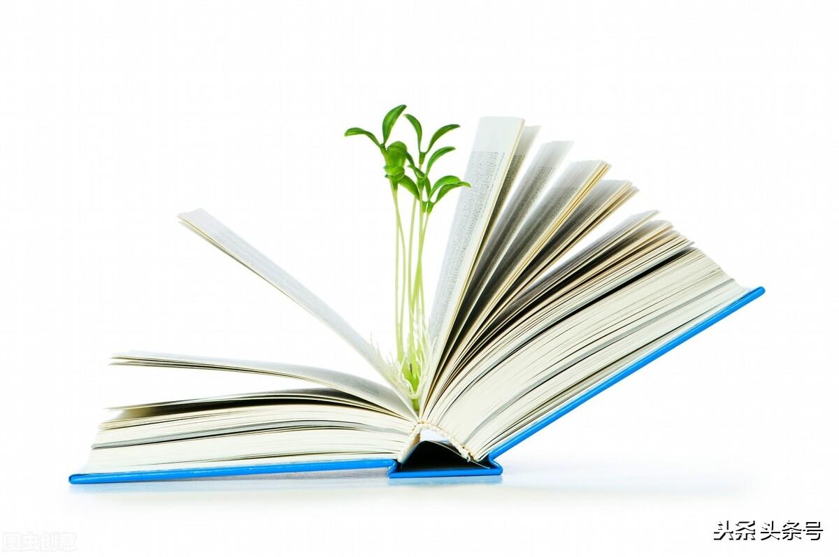 css 翻转180_css background翻转_css翻转效果