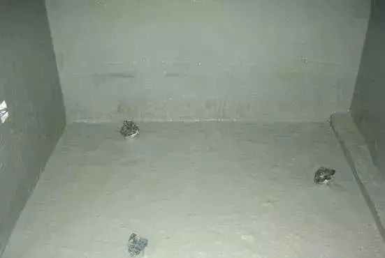 js涂料是聚合物水泥防水涂料_卷材防水 涂料防水_屋顶防水是卷材好还是涂料好