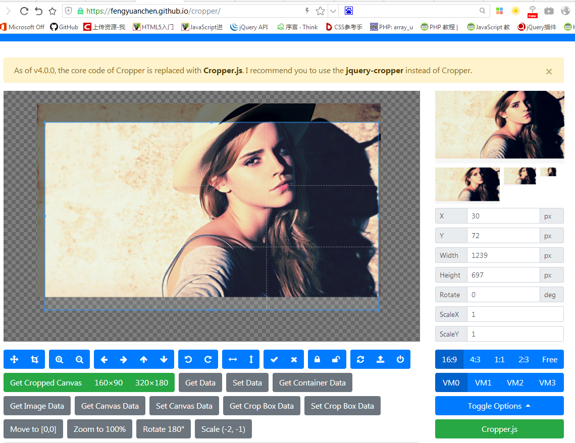 js 图片上传编辑插件_js裁剪上传图片的插件_js图片上传裁剪插件